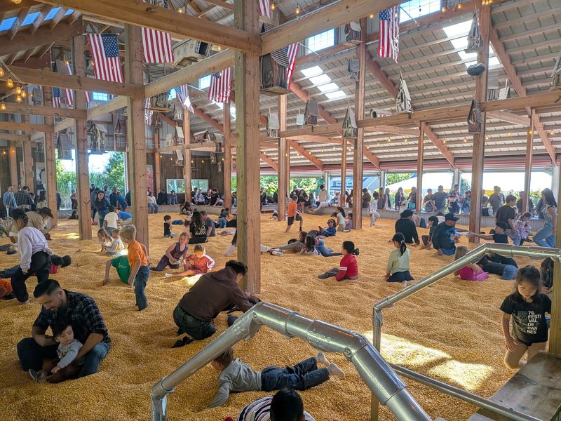 Rides, Corn Pit, And Spooky Fun Rides, Corn Pit, And Spooky Fun