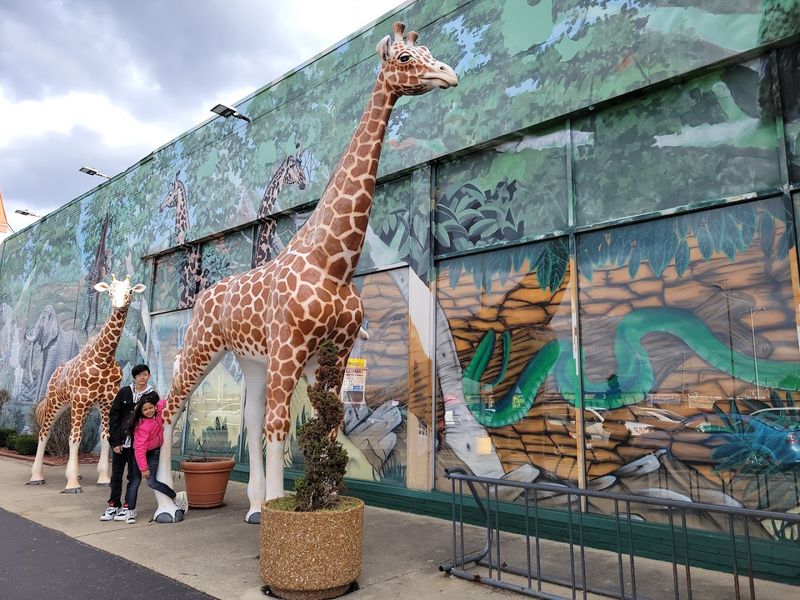 Bounce House And Jump Zone