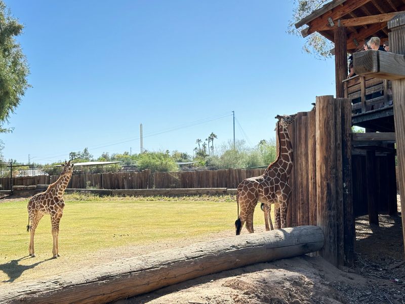 Planning Your Visit And Insider Tips