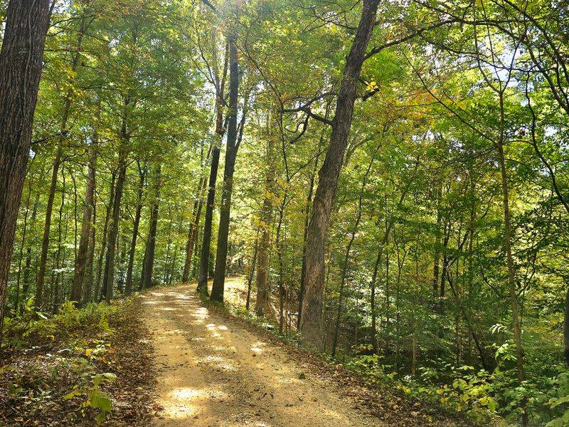 Hiking Trails Suit Various Skill Levels