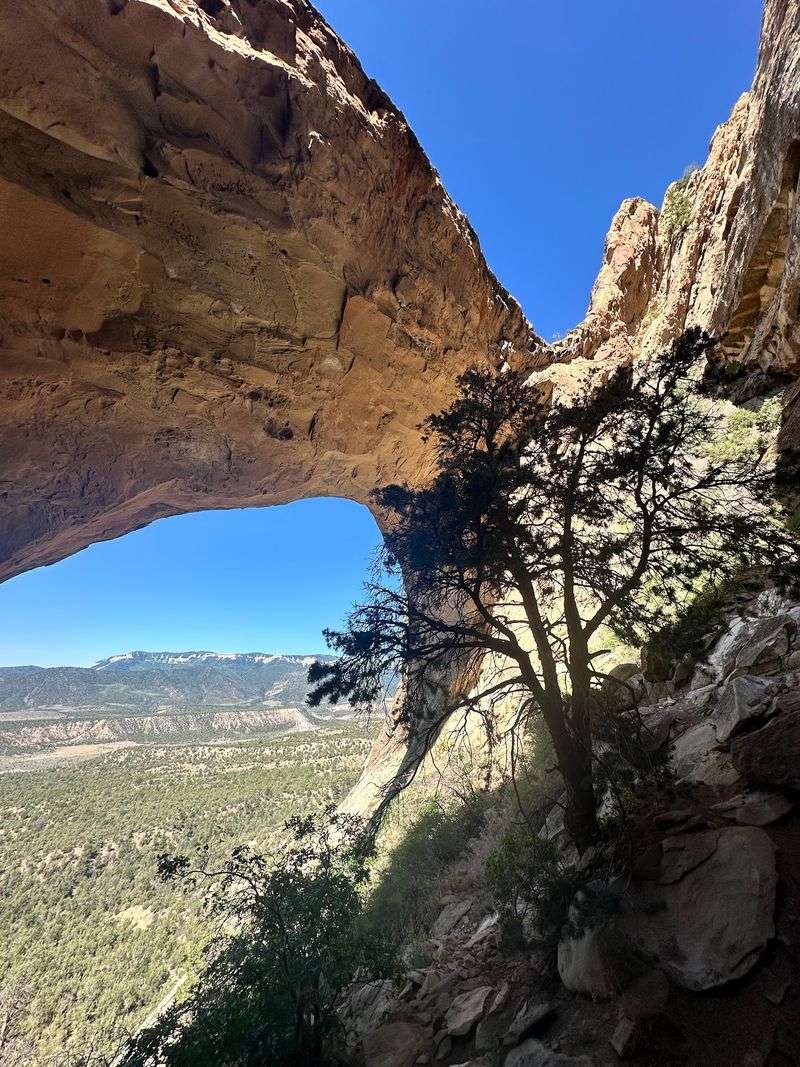 Rifle Arch Trail, Rifle Rifle Arch Trail, Rifle