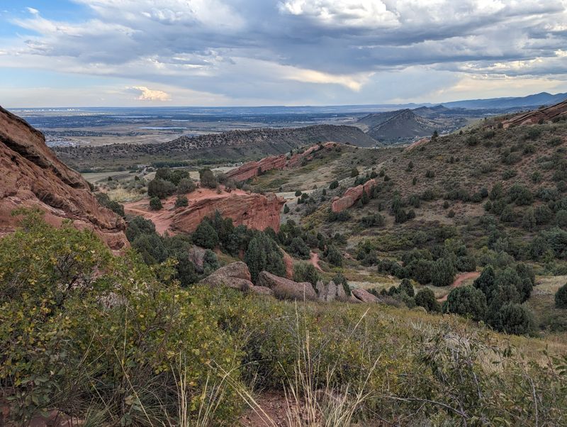 Matthews/Winters Park (Golden Area)