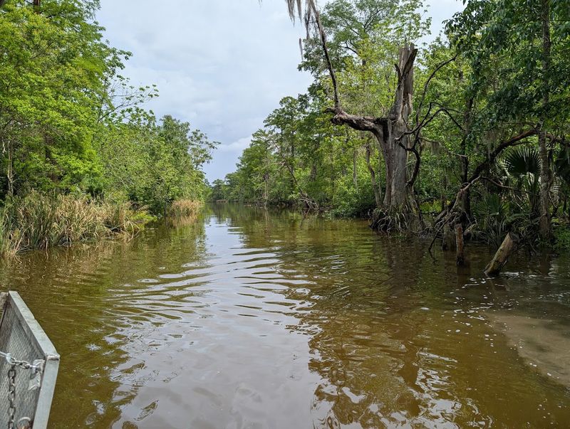 Right In The Heart Of LaPlace, Louisiana