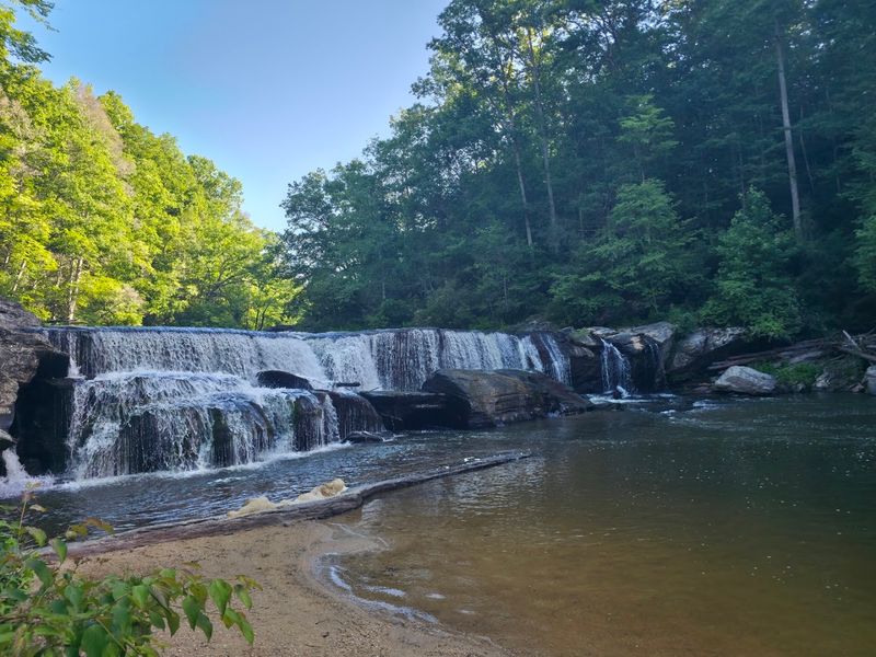 Riley Moore Falls, Westminster