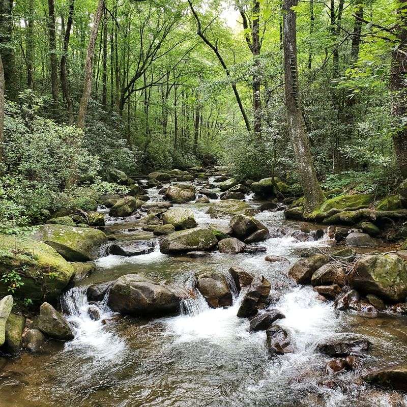 Rim of the Gap Trail, Mountain Bridge Wilderness