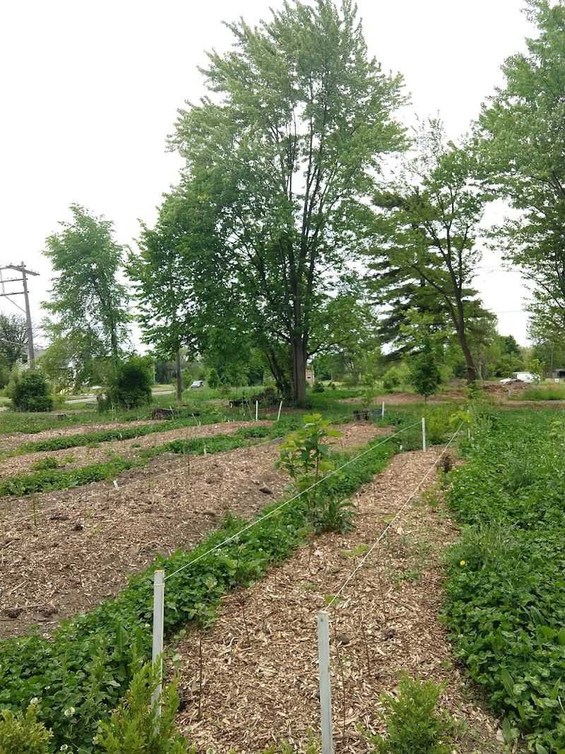 People Who Tend The Future