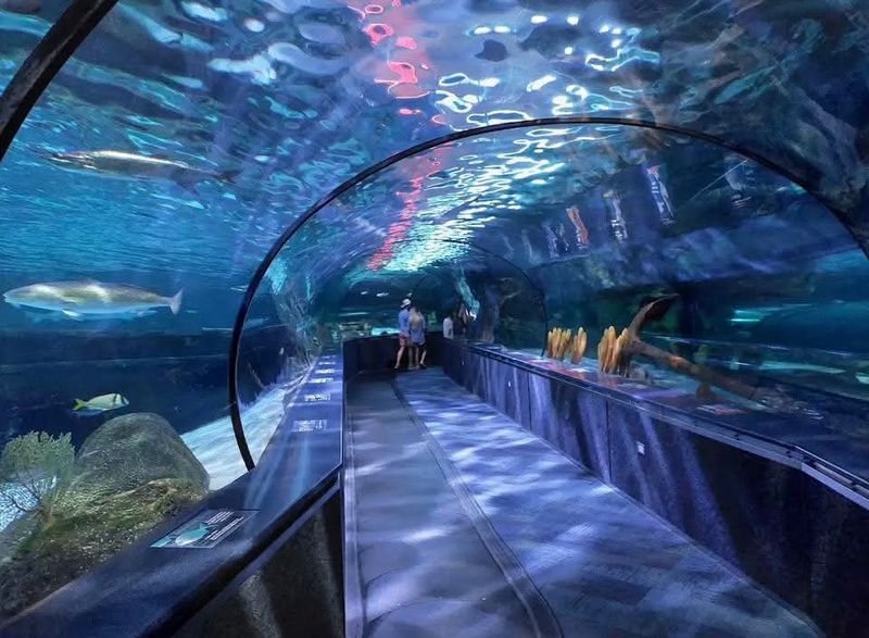 Ripley's Aquarium of Myrtle Beach, Myrtle Beach