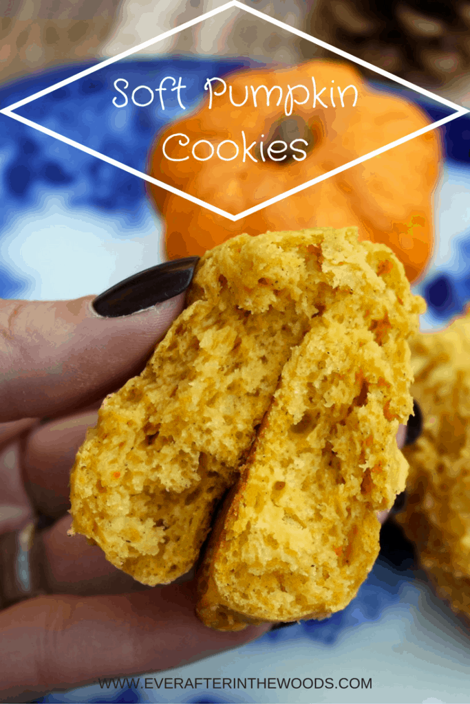 fall recipe pumpkin cookie spice