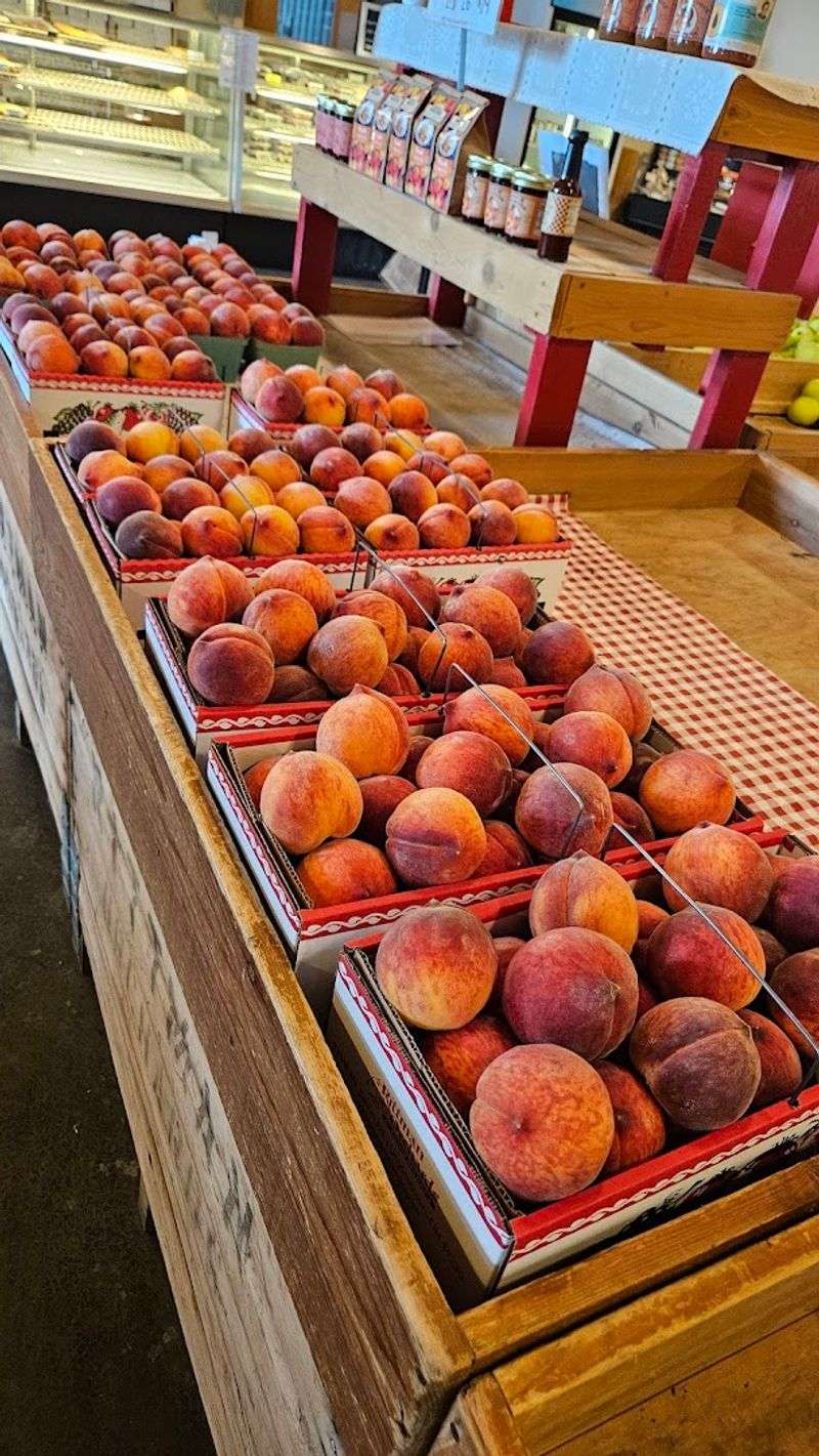 Rittman Orchards and Farm Market, Doylestown
