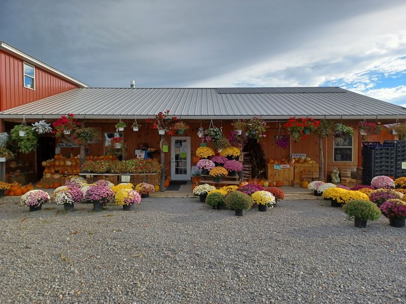 River Bend Amish Market And Greenhouse