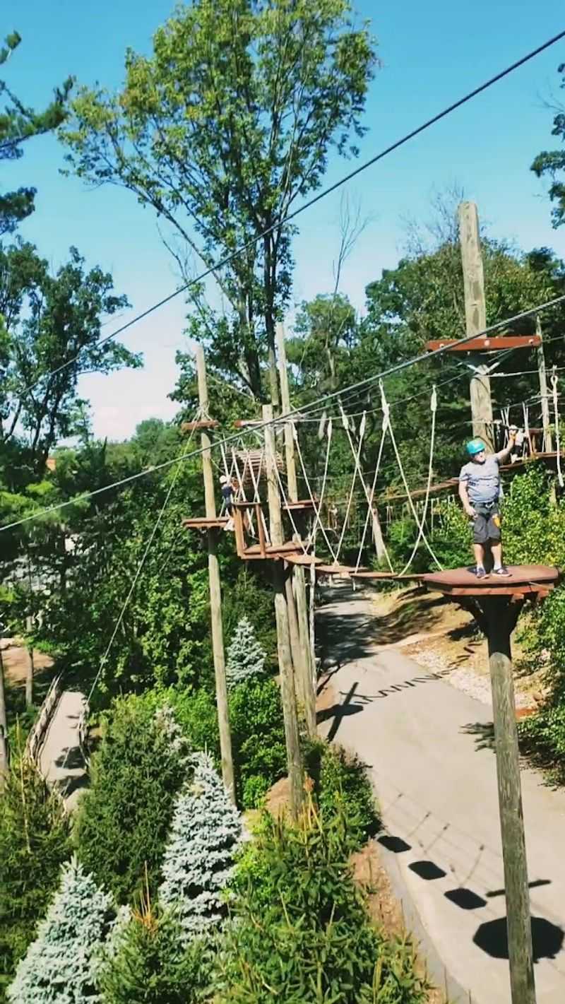 Aerial Park Treetop Nerves
