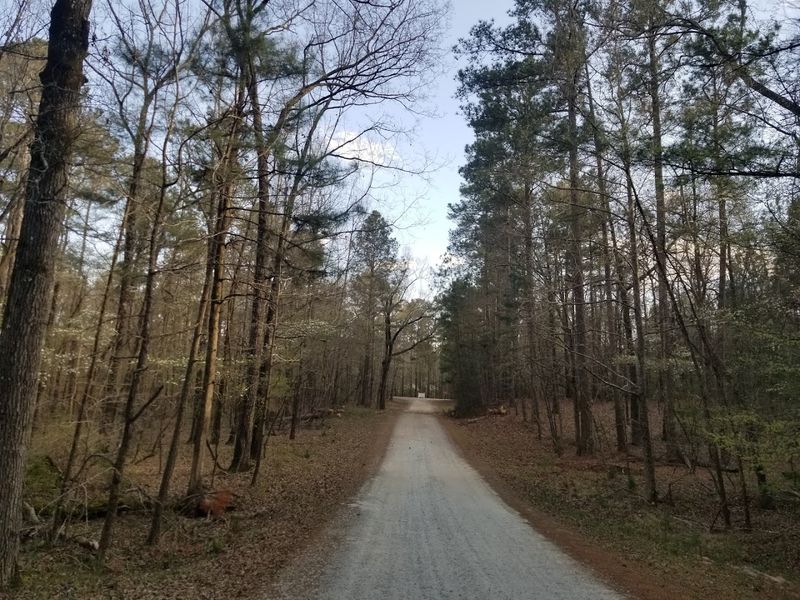 River Road, Columbia Area