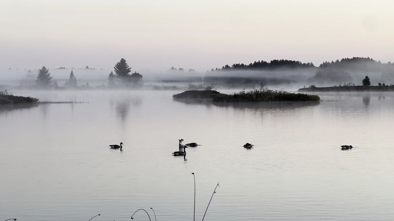 River Road Leads To Seney’s Quieter Door
