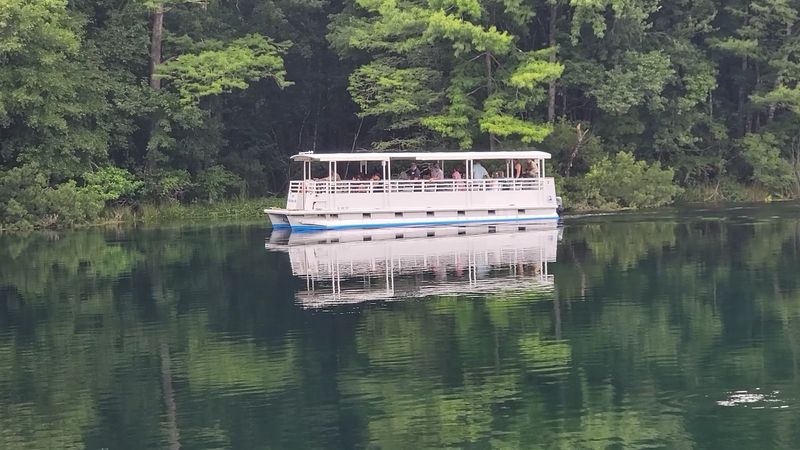 Riverboat Tours Full Of Wild Surprises Riverboat Tours Full Of Wild Surprises