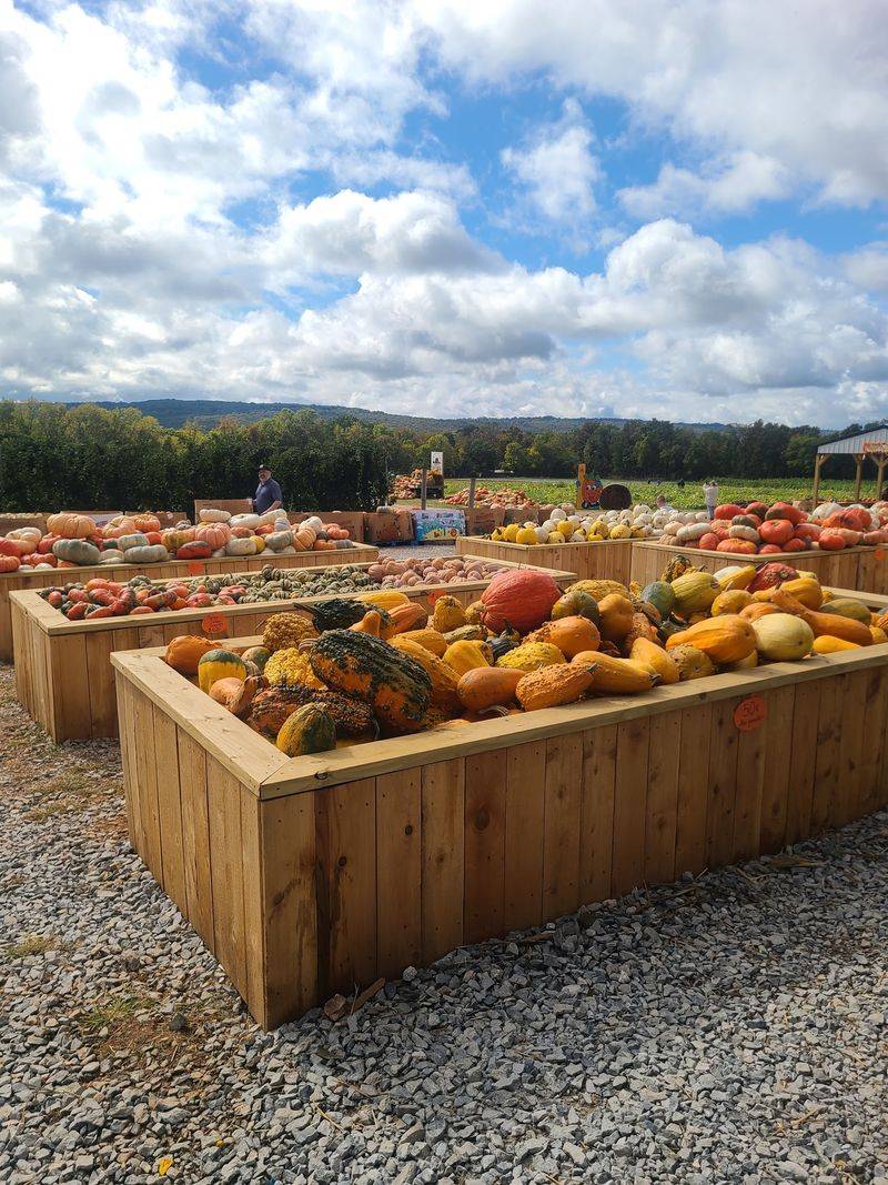 Rivercrest Orchard, Fayetteville Rivercrest Orchard, Fayetteville