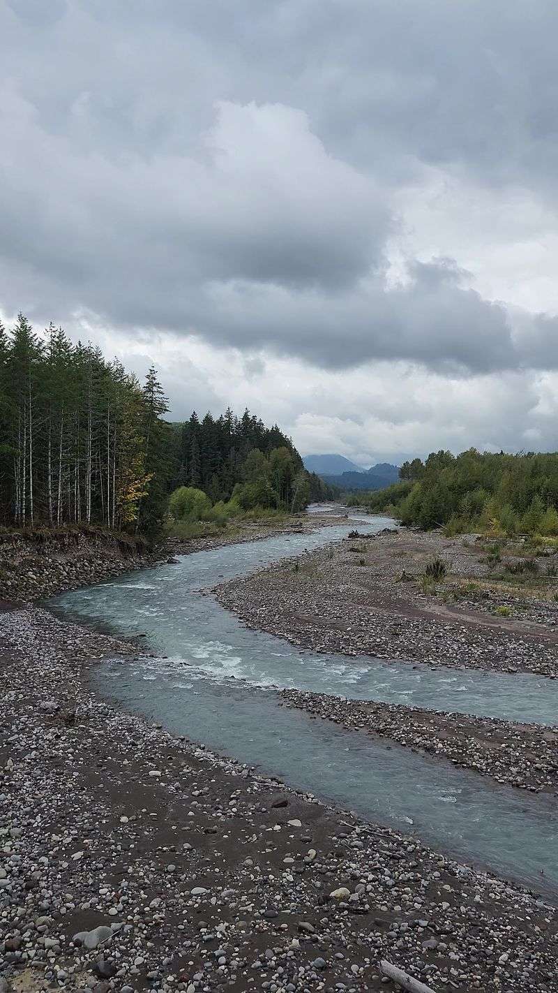 Rivers, Old Growth, And A Quick Peek At The Mountain