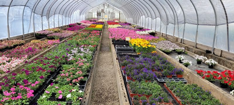 Riverside Nursery Riverside Nursery