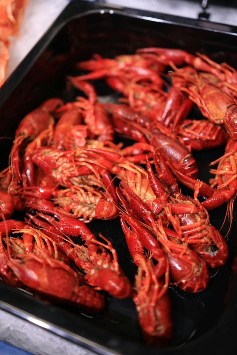 Florida Keys Spiny Lobster