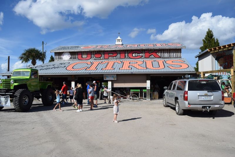 Roadside Citrus and Produce Stands Along US-27, Central Florida