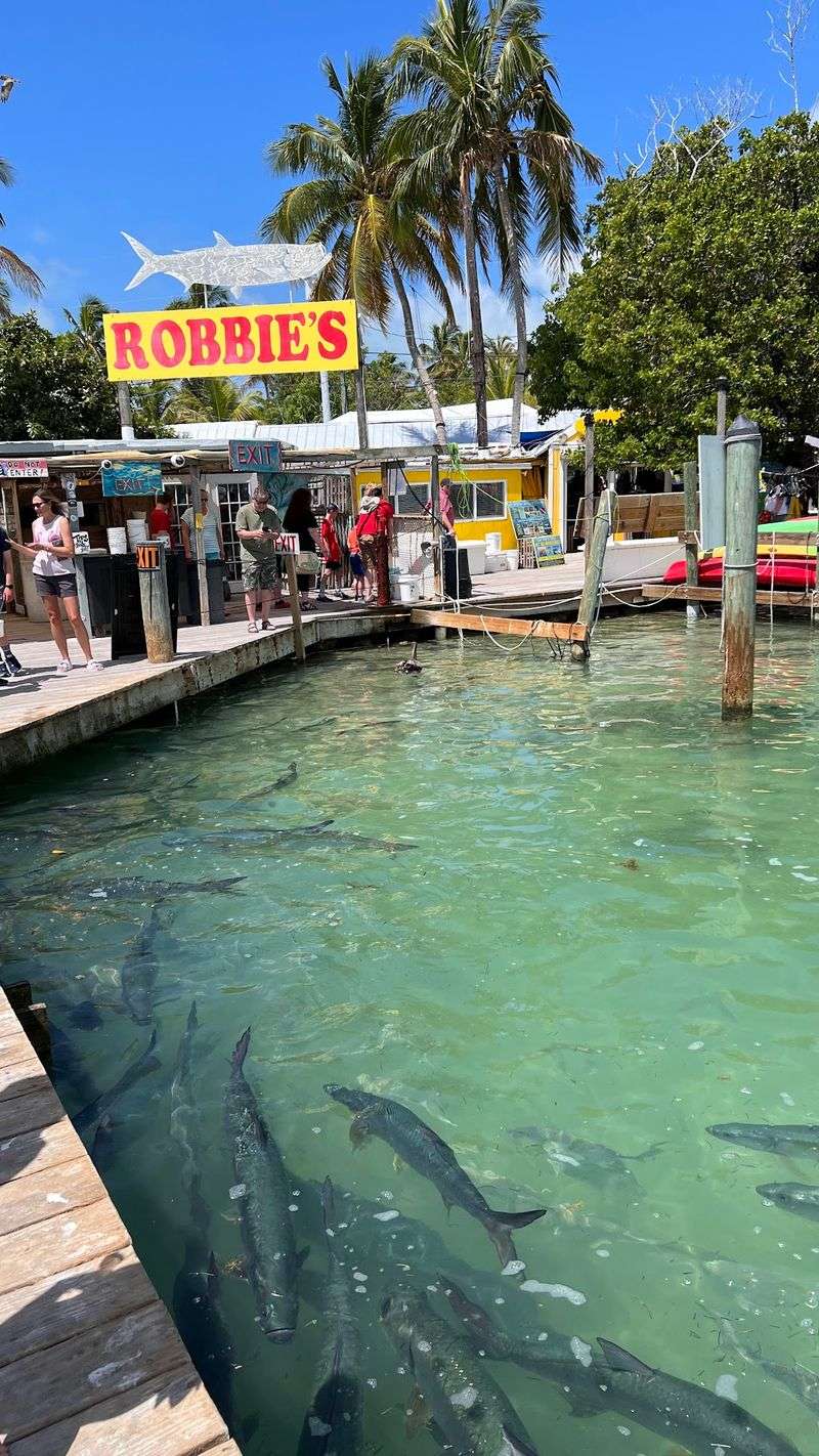 Robbie's of Islamorada