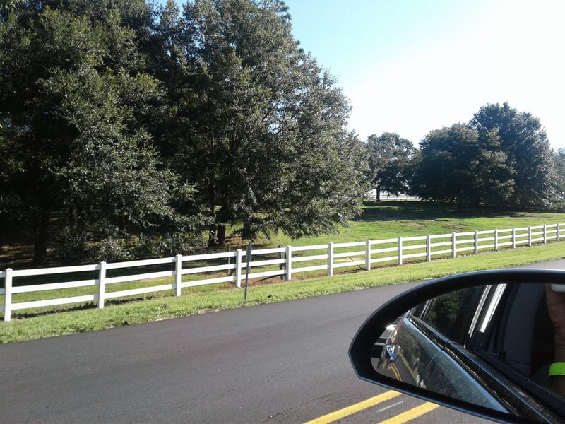 Robertsdale