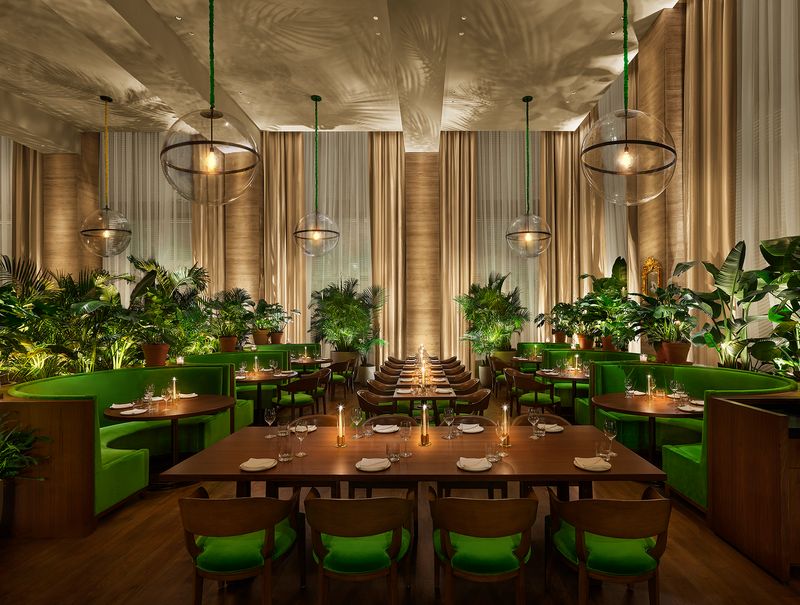 Lilac The Tampa EDITION