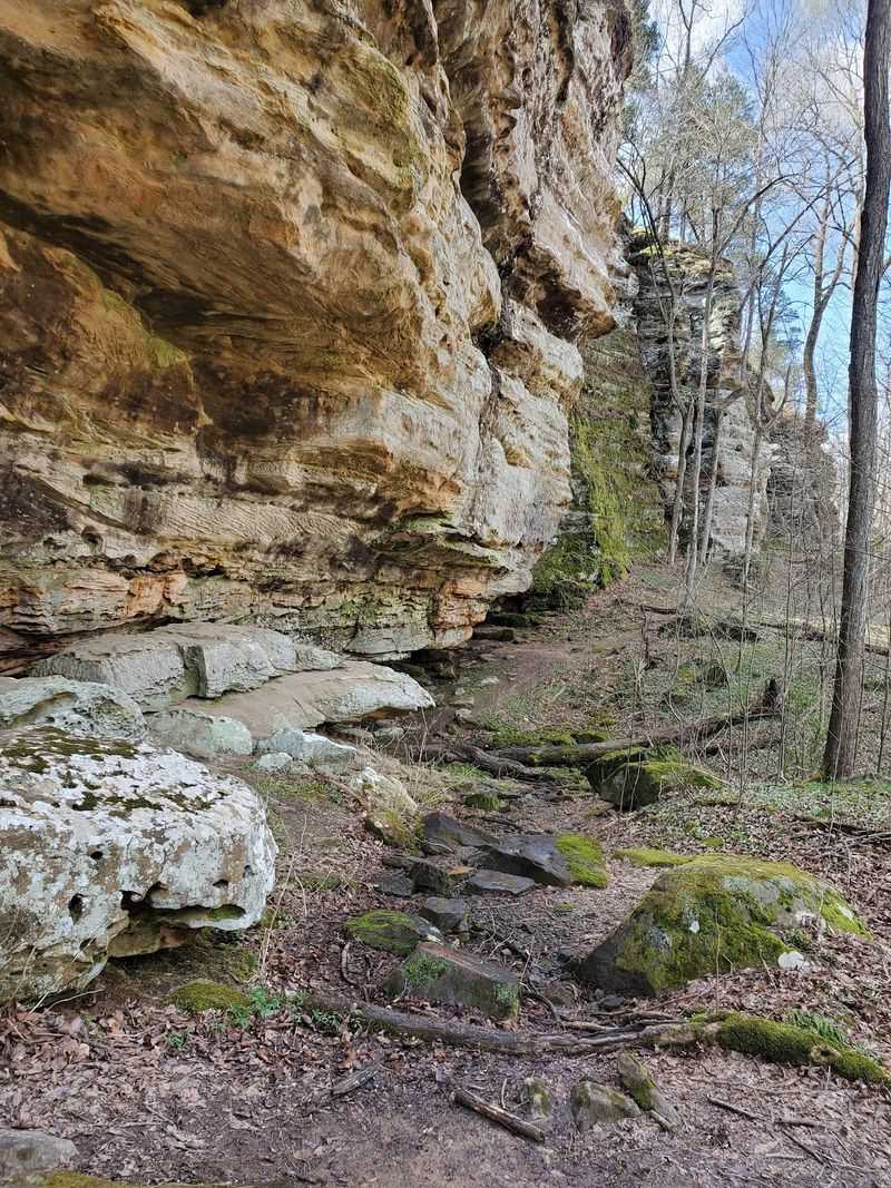 Rock Climbing For The Adventurous