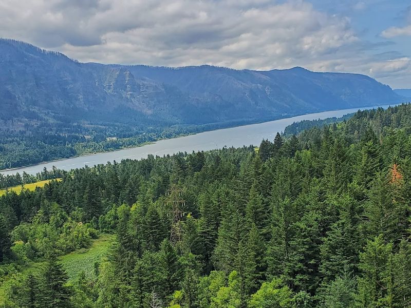 Camping Under The Stars
