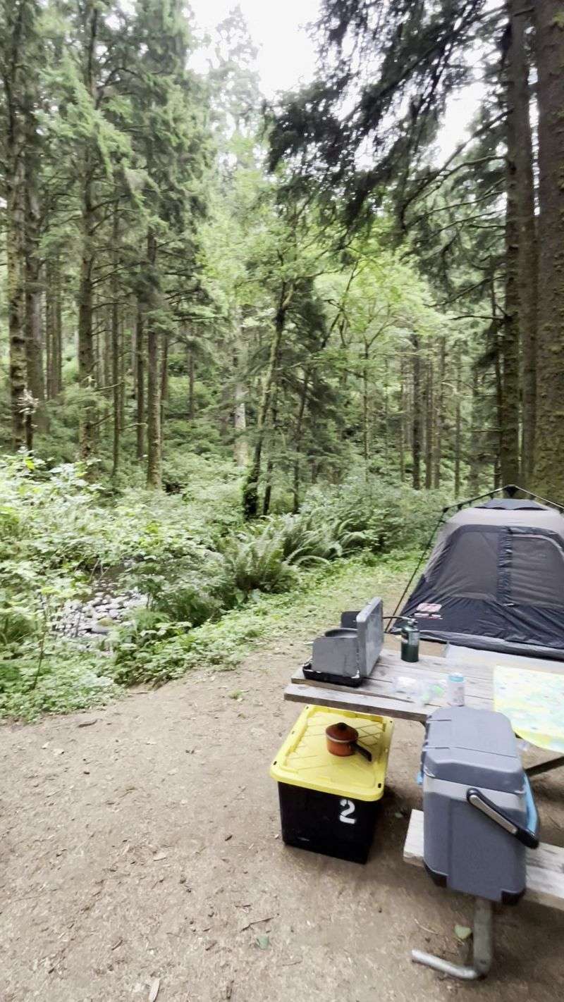 Rock Creek Campground