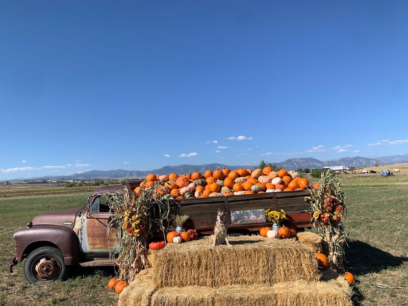 Rock Creek Farm, Broomfield, CO