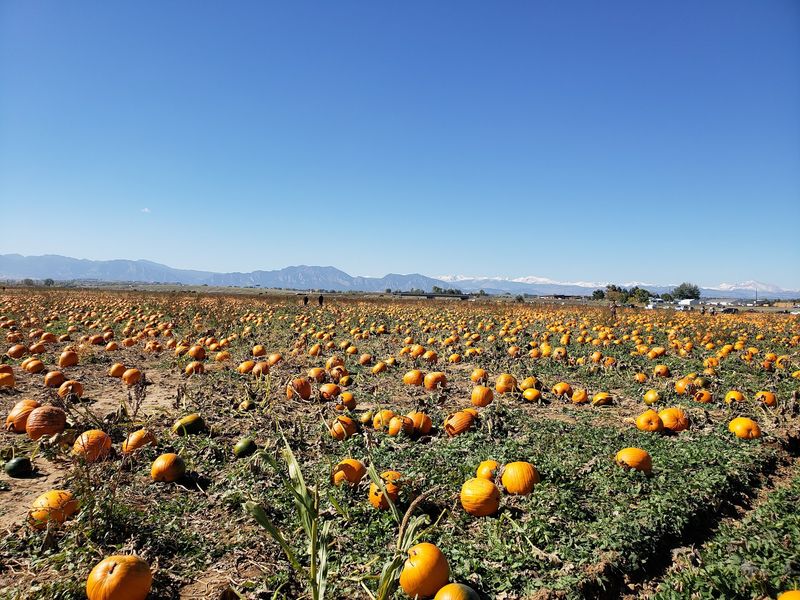 Rock Creek Farm, Broomfield, CO