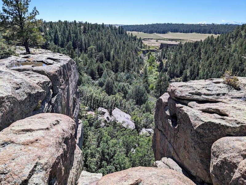 Wildlife Encounters That Catch You Off Guard