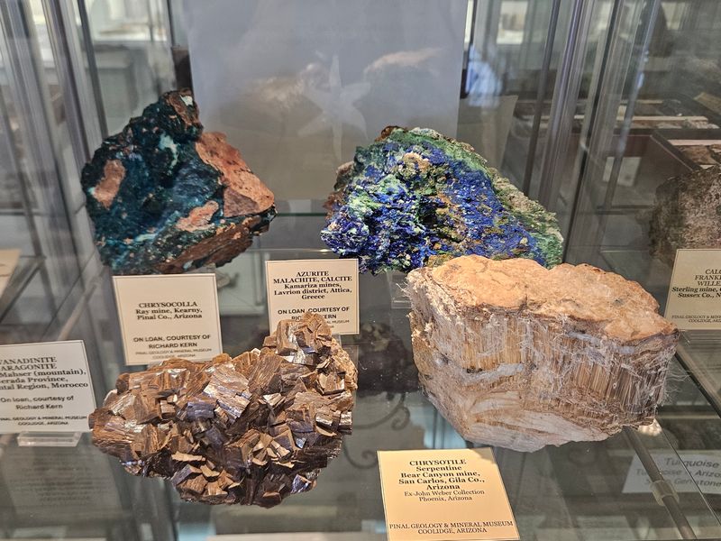 Rock Pit, ID Cards, and Dino Statues