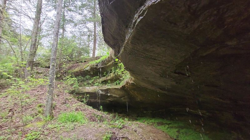 Rock Shelters That Tell Their Own Story