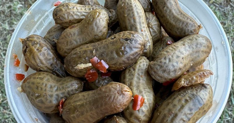 Boiled Peanuts: Roadside Snack Sensation