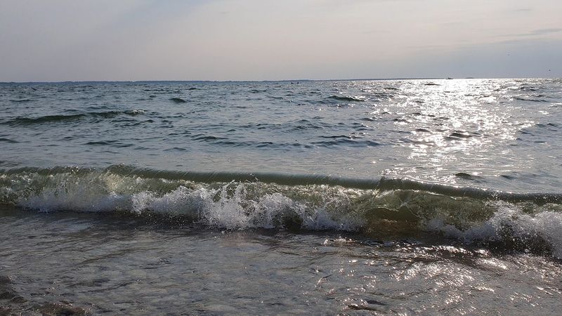 Swimming And Wading In Lake Erie