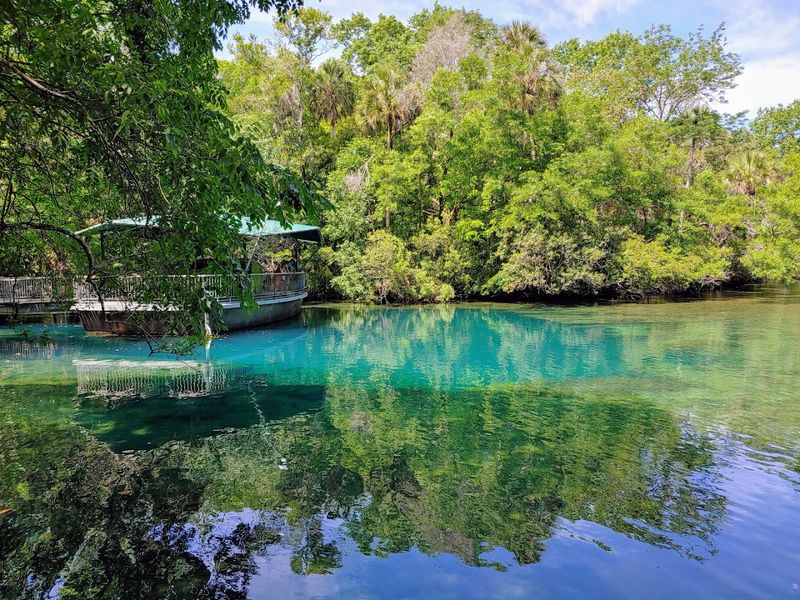 Homosassa Springs Wildlife State Park, Homosassa