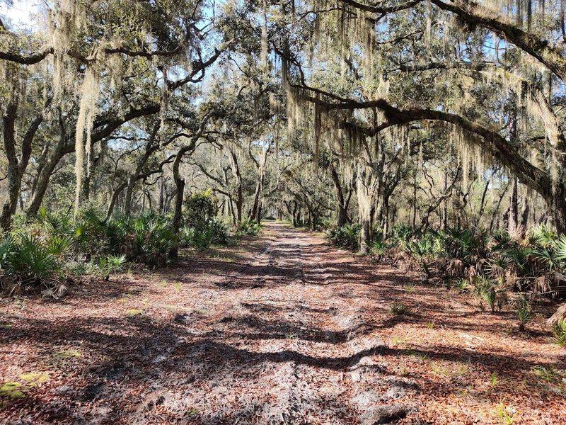 Rock Springs Run State Reserve, Sorrento, FL Rock Springs Run State Reserve, Sorrento, FL