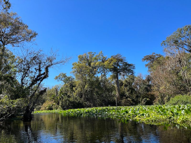 Rock Springs Run State Reserve, Sorrento