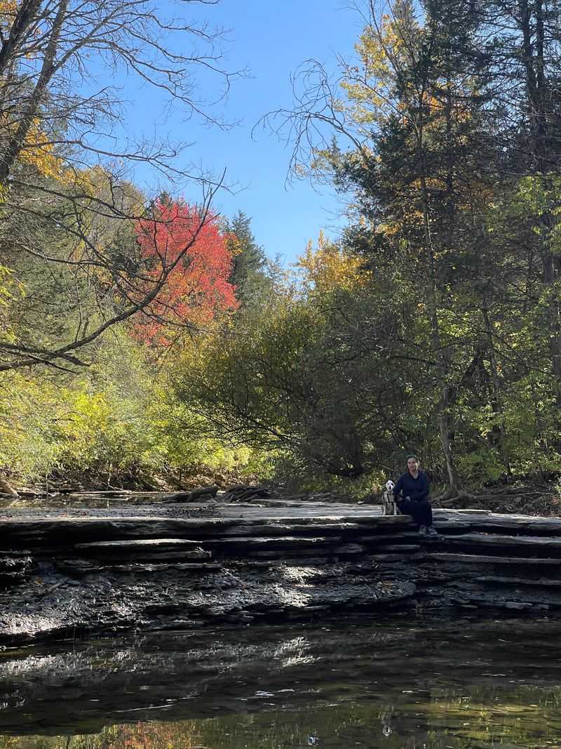 Seasonal Transformations