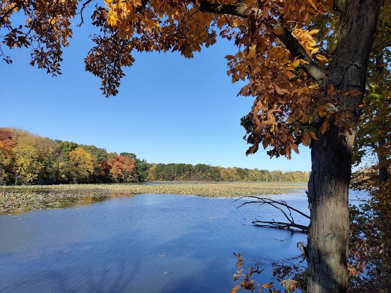 Old Woman Creek, Huron