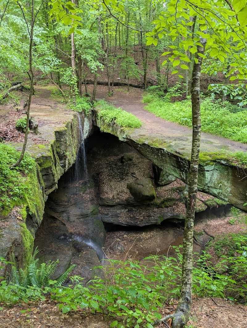 Rockbridge State Nature Preserve Trail, Rockbridge, OH