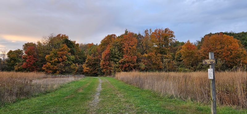 Wildlife And Wildflowers Bring The Park To Life