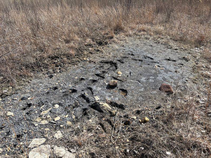 Rocks That Hold A 300-Million-Year-Old Secret