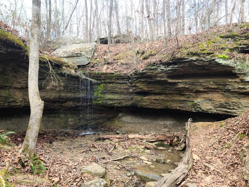 Rocks That Make Mississippi Look Like A Mountain State