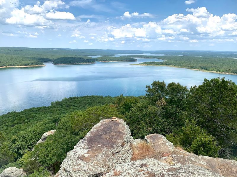 Rocky Bluff Views Framed By Towering Pines