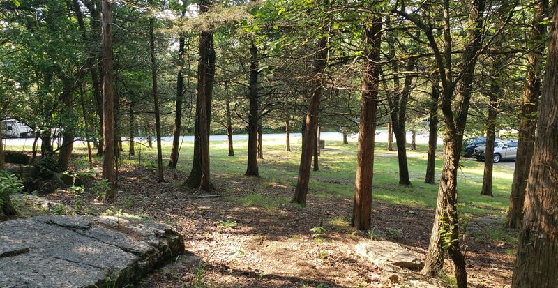 Rocky Branch Campground, Rogers Rocky Branch Campground, Rogers