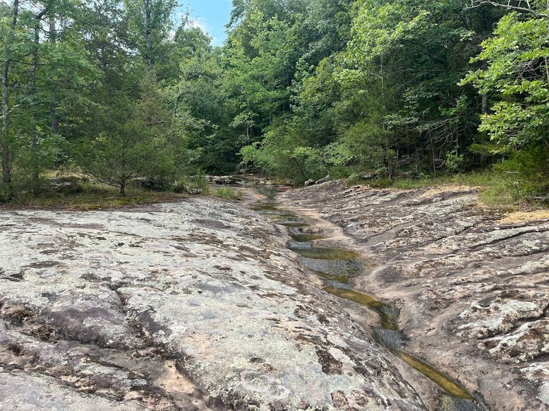 Rocky Creekside Views Beneath The Trees