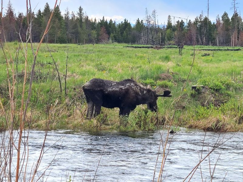Rocky Mountain National Park Is Essentially Your Backyard Here