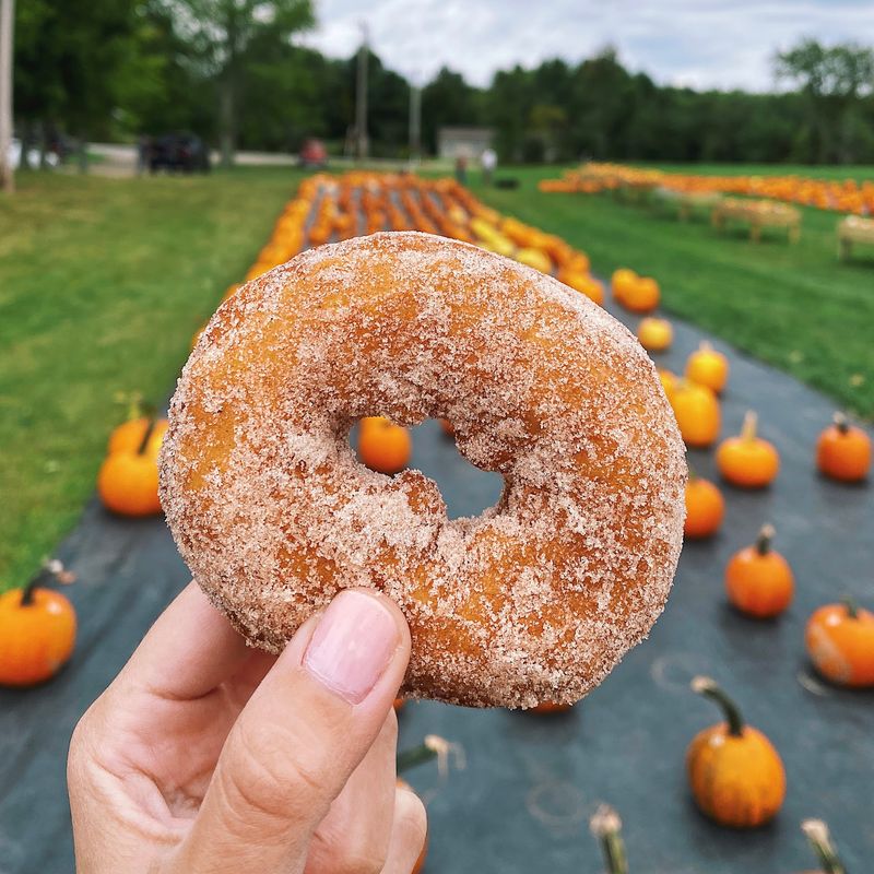Rocky Ridge Orchard, Bowdoin, Maine